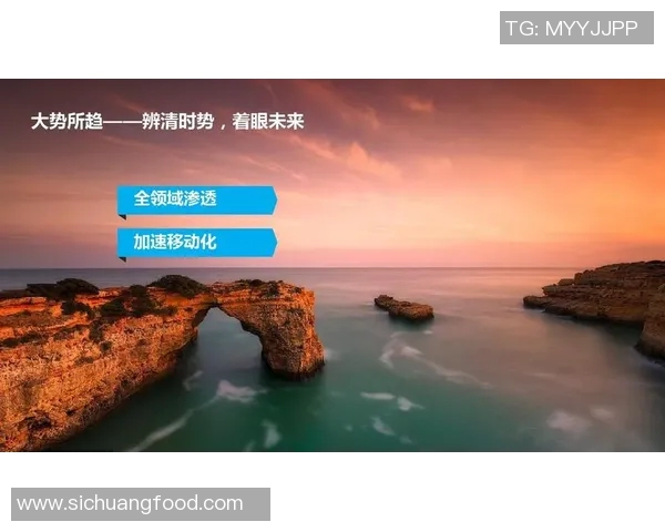 广州篮球队转型之路的挑战与机遇全景解析与未来展望
